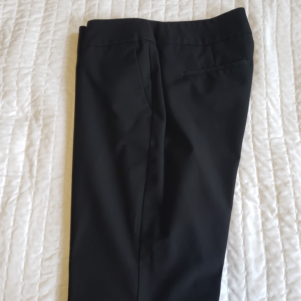 Ann Taylor Pants